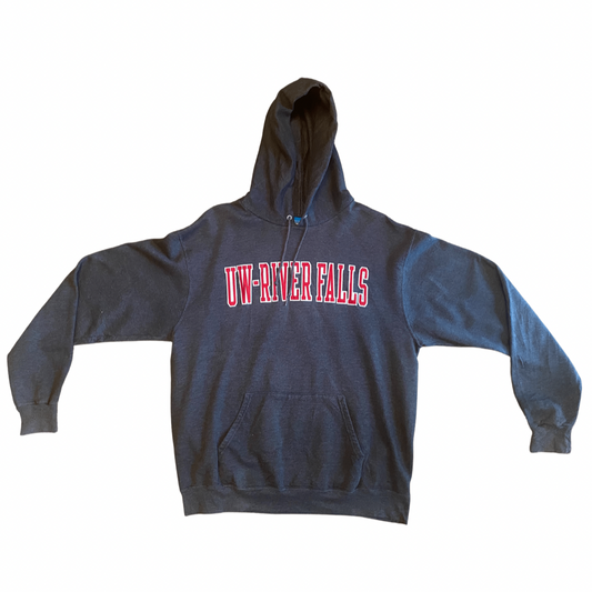 Charcoal Vintage Champion UW - River University Hoodie